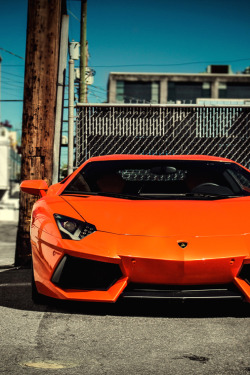 themanliness:  Aventador | Source | More