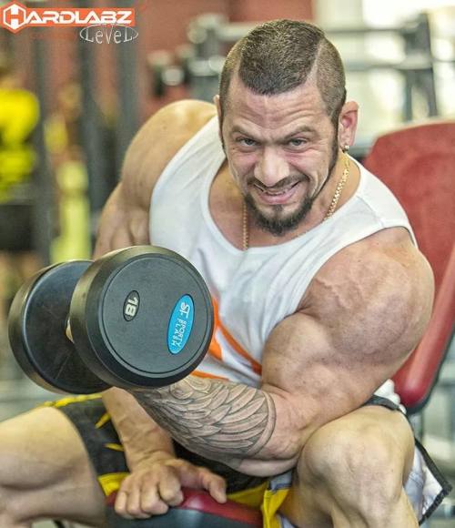 myfavoritemusclemen:  http://myfavoritemusclemen.tumblr.com/archive 