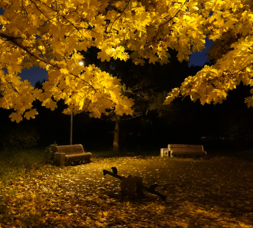 djferreira224:A quiet autumn evening