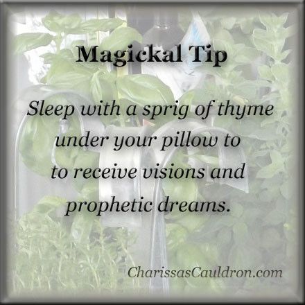 The Magick of Thyme