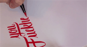 freexcitizen:  xyvch:  Beautiful Rudeness - hand type  I need to try my hand at calligraphy 