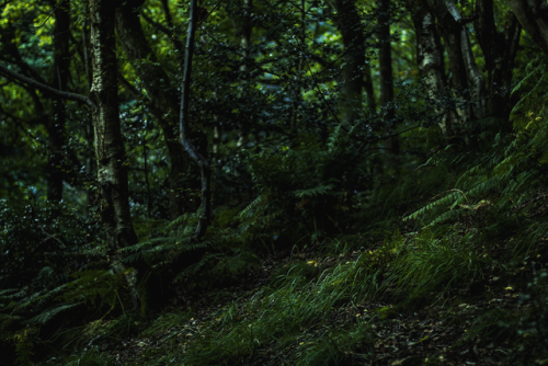 garettphotography:August 26th, 2017 - Todmorden, West Yorkshire | GarettPhotography
