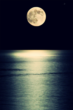 plasmatics:  Supermoon 2013 | By Angela Soler[via/more]