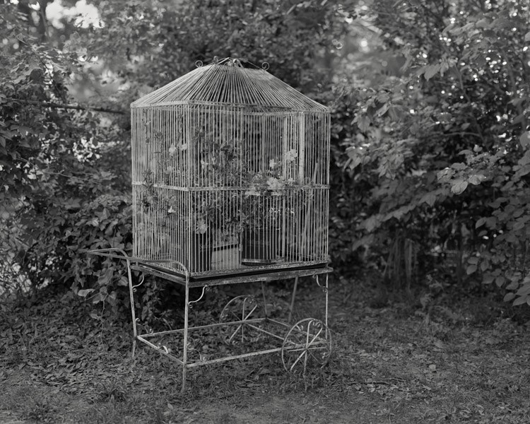 ericmarth:  Very pleased to discover the work of Allison Barnes this morning.  