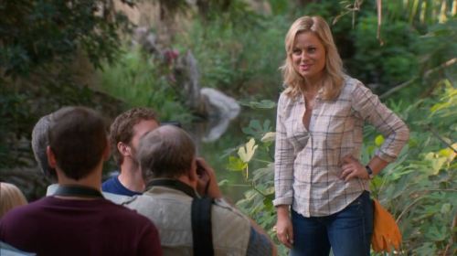 I wish I had taken screen shots of every Leslie Knope outfit in Season 5.