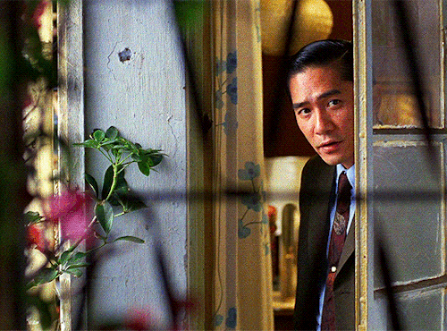 XXX wall-ee:In The Mood For Love (2000) dir. photo
