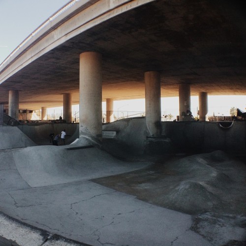 optimusprime666:  ai-lurophile:  at Washington Street Skatepark  I want to skate here so bad 😖