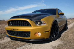 fuckyeahfordmustangs:  Geiger Shelby GT640 Golden Snake