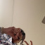 adiceb