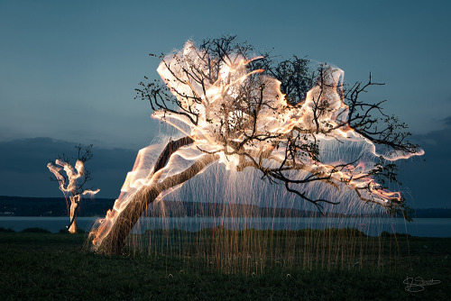 forthestrangeandthebeautiful:  Light Appears to Drip from Trees in these Long-Exposure Photos by Vitor Schietti 