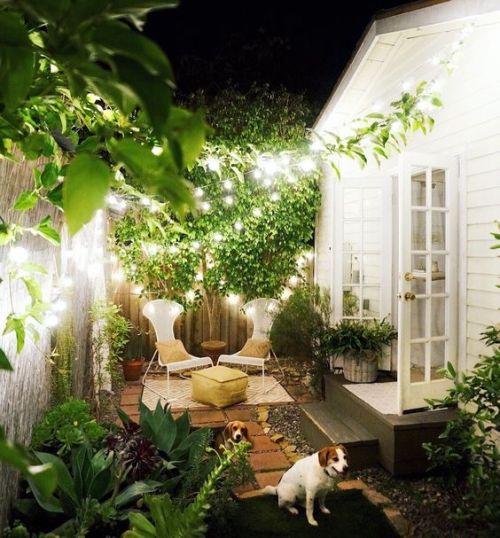  Backyard Lighting Ideas 