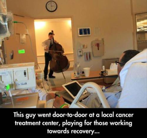 chaiteawolf: megaweapon: dharuadhmacha: webofgoodnews: Have some faith in humanity! Because sometime