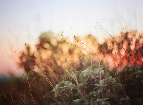 rawpix:  Raw[jimmay bones]waЯ 