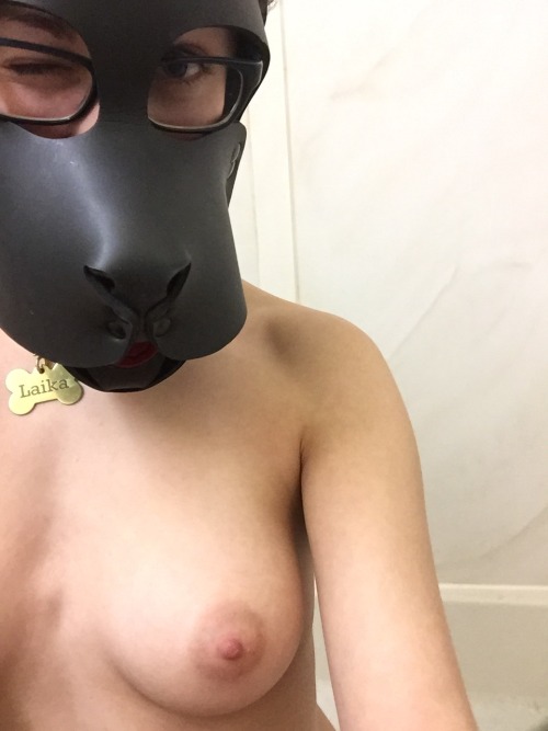 pupmishka:  puplaika:  Squeaky clean puppy adult photos