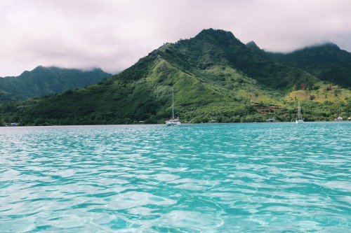 summersenstations:Moorea, Tahiti Insta: cameronkirrk