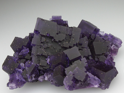 diabolicalillumination:
“ Fluorite looks like a chunk of the night sky.
”