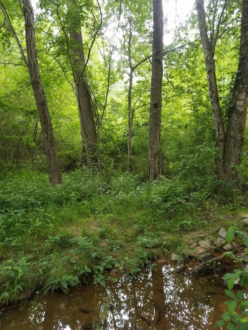 extremely blessed nature walk