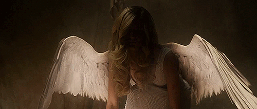 quantum-fags:  tacobellofficiall:  Tb0y-with-apple:  American Horror Story: Freakshow  THIS WAS SO WELL MADE I DON’T WANT TO BELIEVE THAT IT’S FAN MADE  IT’S NOT BECAUSE IT CAME FROM THE AHS FX YOUTUBE CHANNEL ITS REAL THIS TIME 