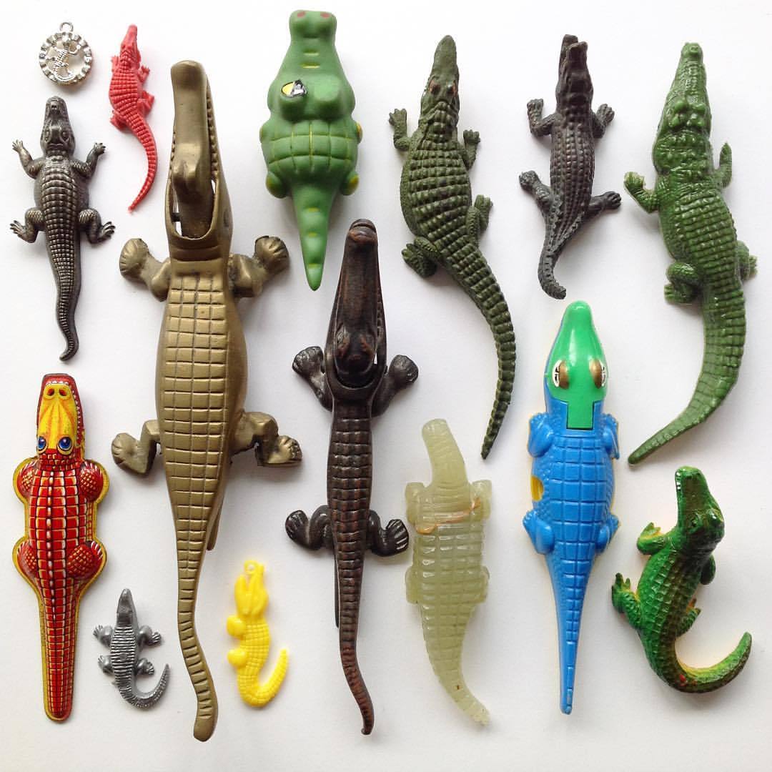 foundandchosen:  Onward March of #crocodiles. #alligator #alligators #croc #crocodile