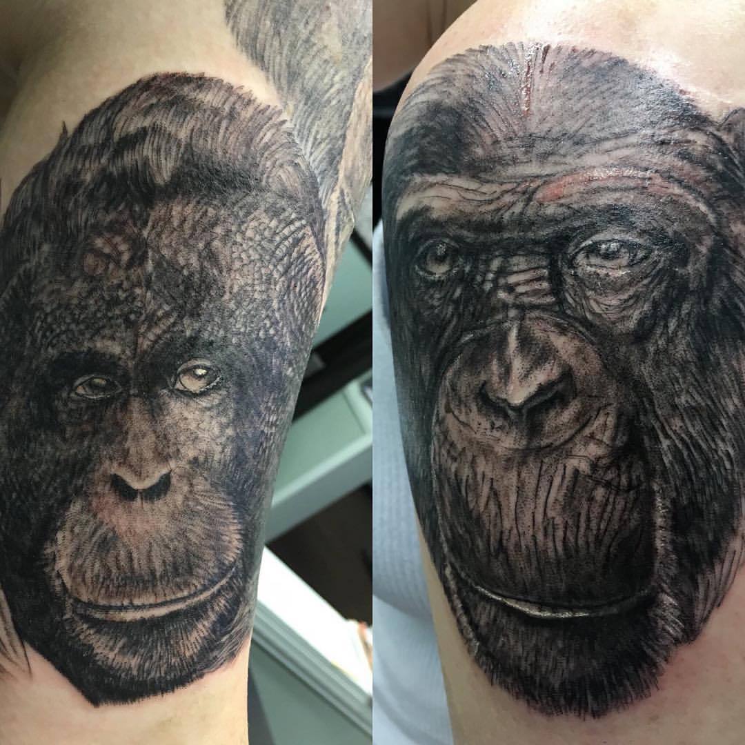 apes in Tattoos  Search in 13M Tattoos Now  Tattoodo