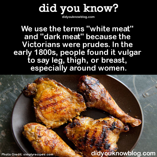 did-you-kno:  We use the terms “white meat” and “dark meat” because the Victorians were prudes. In the early 1800s, people found it vulgar to say leg, thigh, or breast, especially around women. Source