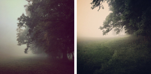 foxmouth:  Instagram, 2014 | by Finn Beales + @finn on Instagram