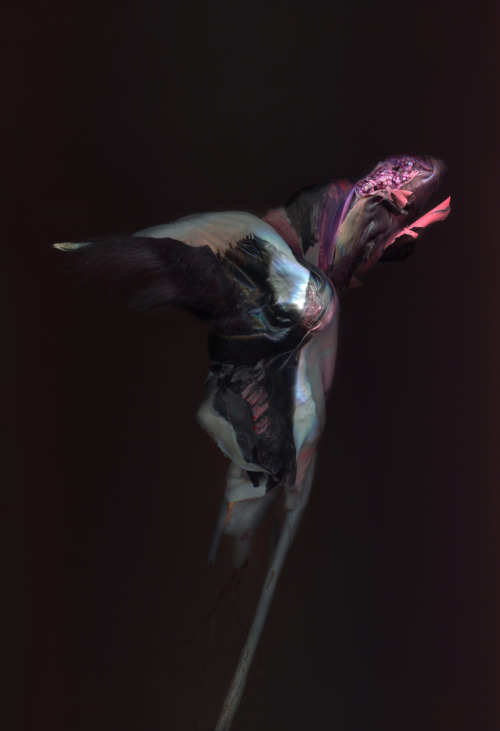 nevver:  Dark strange fruit, Kim Kei