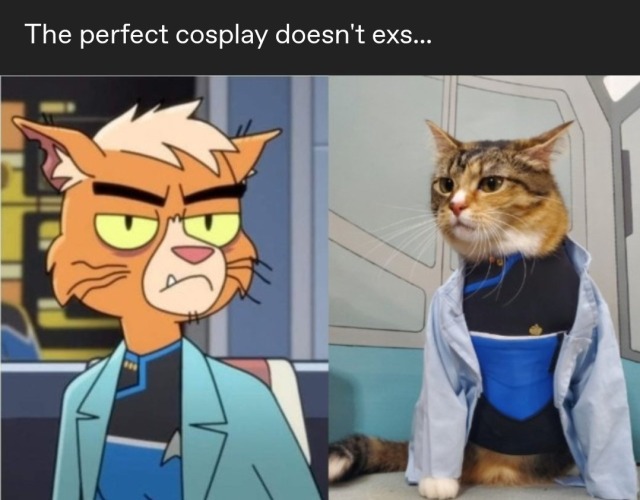 A meme showing T'Ana from Star Trek Lower Decks across from a cat dressed as her with the title "the perfect cosplay doesn't exs..." above it