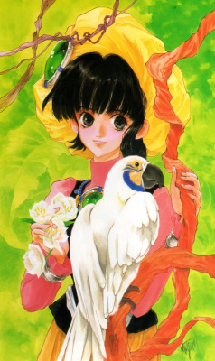 Animarchive:    Wares Zeed: Rashuon No Arashi (Mutsumi Inomata Illustrations - Sai,