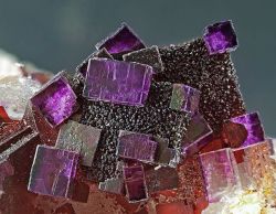 geologypage:  Fluorite | #Geology #GeologyPage #Mineral  Locality: Clara Mine, Rankach valley, Oberwolfach, Wolfach, Black Forest, Baden-Württemberg, Germany  FOV: 16.5 mm  Photo Copyright © Edgar Müller  Geology Pagewww.geologypage.com