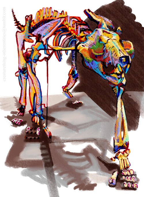creaturething-otherentities:Another museum drawing. This time it’s a Marsupial Lion skeleton, in its