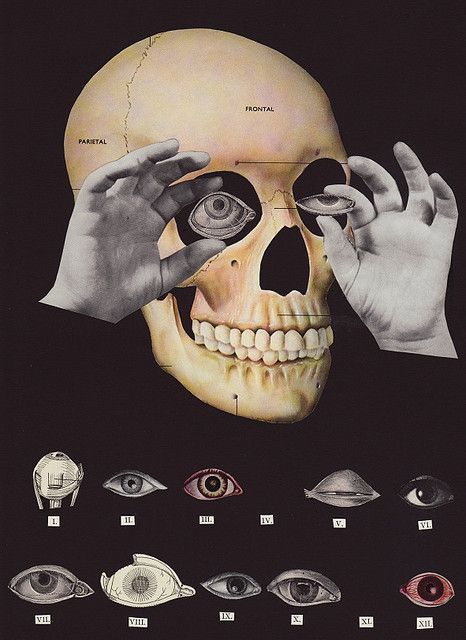 thegentlemanwitch:The Artistic Allure Of The Human Skull