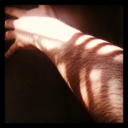 Playing with sunlight and shadows #Instagay