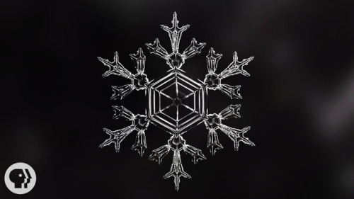 Identical Snowflakes? Scientist Ruins Winter For EveryoneWe’ve all heard that each and every s