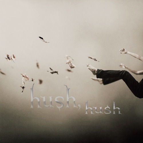 hushhushfandom:Martin Stranka inspired Hush Hush poster  love these posters!!