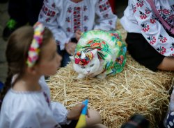 fotojournalismus:  A cat dressed in a traditional Ukrainian embroidered shirt takes part in a parade in Kiev on May 28, 2016. (Gleb Garanich/Reuters) 