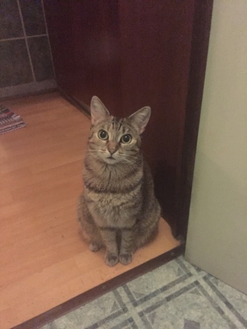 titi stays beautiful even when she went to the vet to get a vaccine and she’s been out of it l