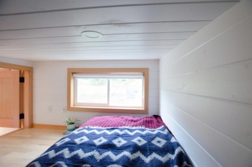The Albatross By Rewild Homes