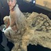 XXX lostwig:FKA twigs in Valentino Haute Couture photo