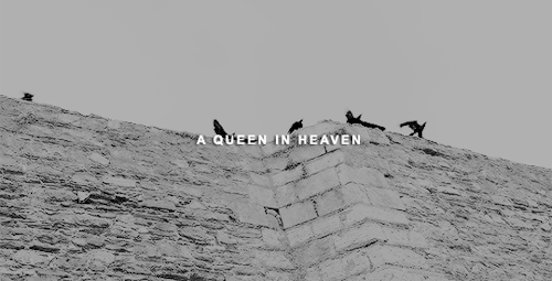 annaboleyne:    † 19.05.1536  