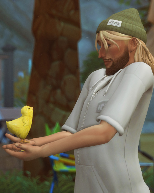 Johnny Hatched His First Chick! He Named Her Pikachu