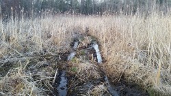 Finally found water. &hellip;. it&rsquo;s been a very dry winter and spring.