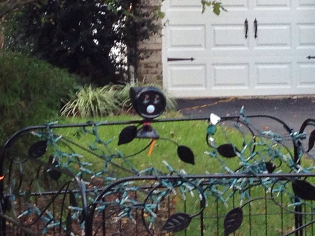 eccentric-nae:  hoeswithclothes:  champagnepadre:  these whites rlly put up a fence