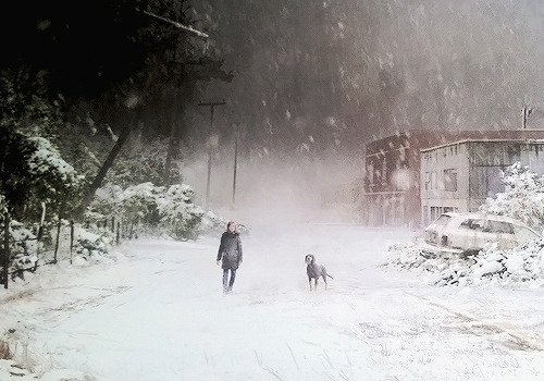 yocalio:The Last of Us: concept art - winter