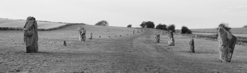 West Kennet Avenue, Avebury, 23.1.16. This impressive set of standing stones links Avebury with the 