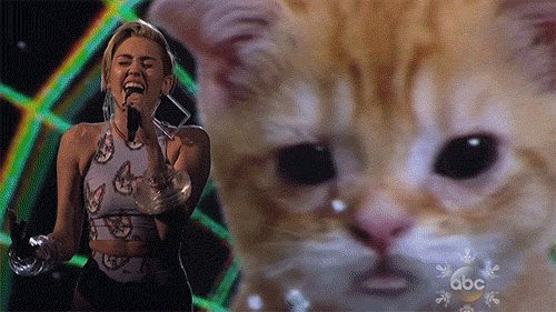 yahooentertainment:  Hello Miley: The American Music Awards — and the Internet
