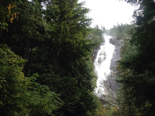 floralwaterwitch:Shannon falls, British Columbia