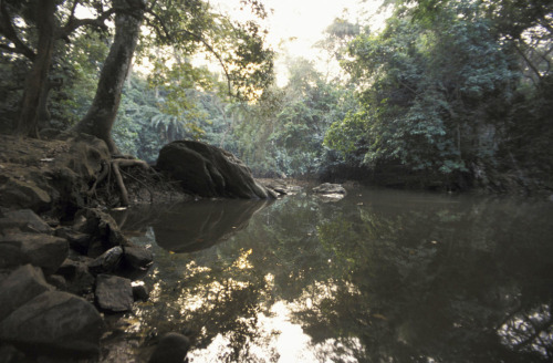 Temple and sacred grove of Òsun at Òsogbo, Nigeria
