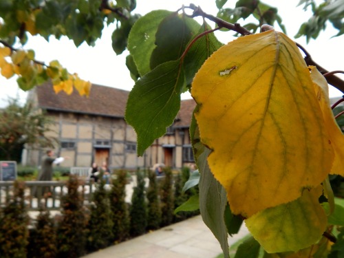 William Shakespeare’s Birthplace, Stratford-upon-Avon