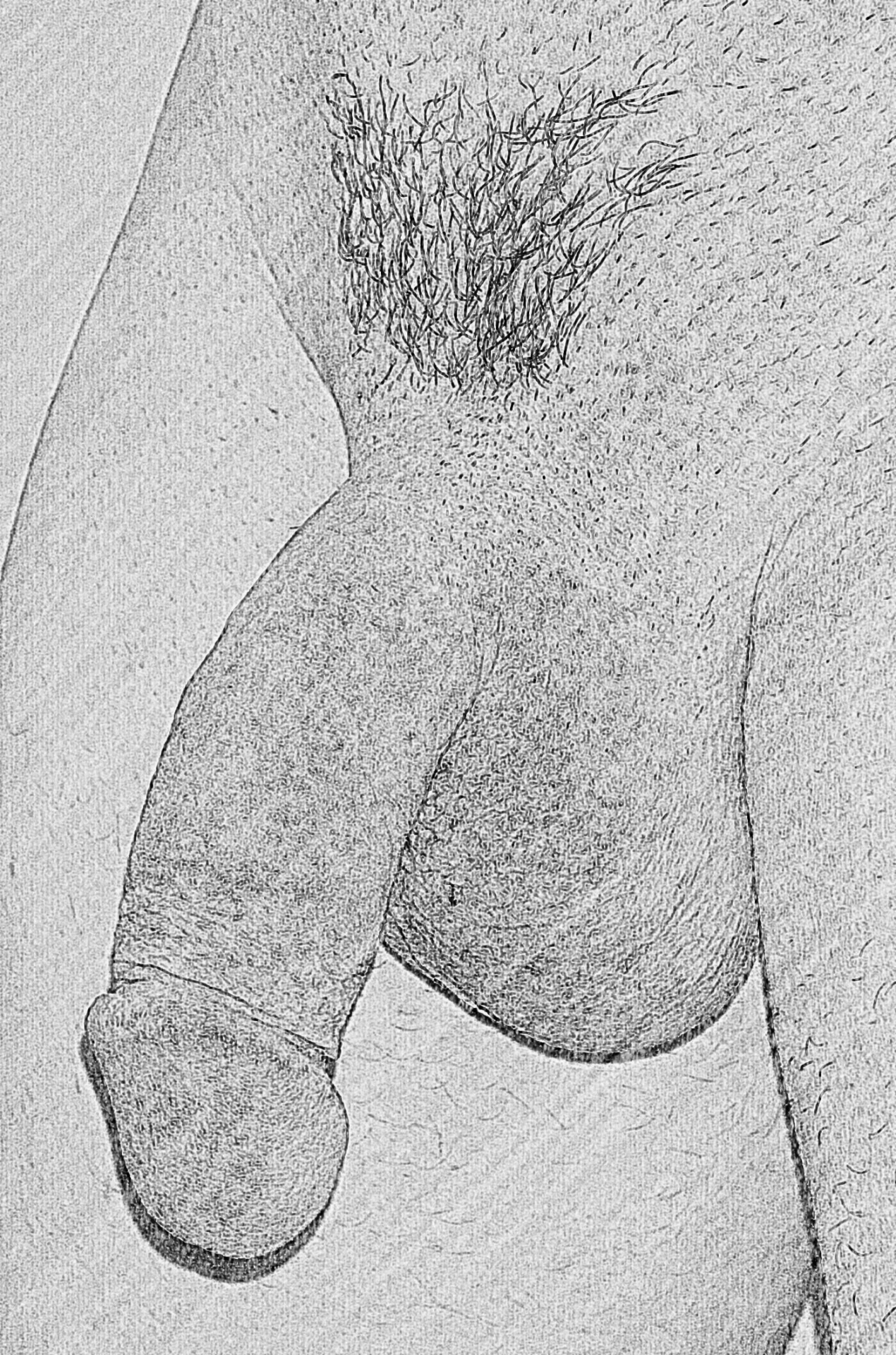 Pencil sketch on my cock